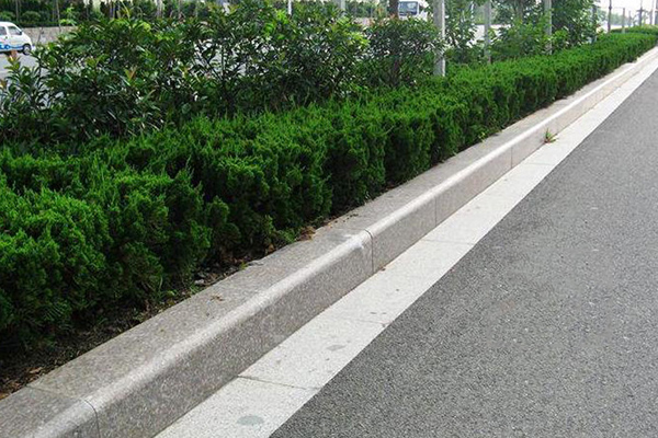 路側石人行道案例3